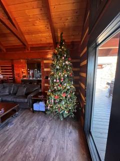 The View- Hot Tub -Theater- Mini Golf- Pool Table - 8