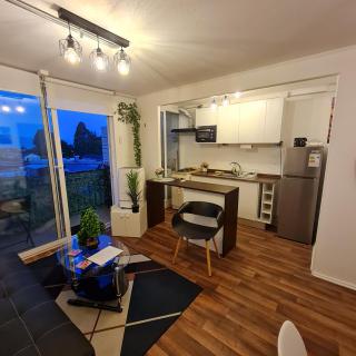 Departamento 3 dormitorios en villarica - 9