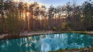 The Backwoods Paradise - 8