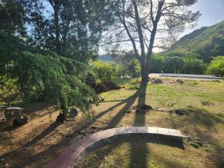 Rincon de la Selva - 1