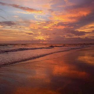 Sunny Retreat-Near Beach-Pickleball-Heated Pool! - 6