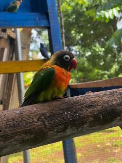 apartamento tipo villa privada - 4