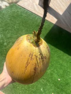 apartamento tipo villa privada - 2