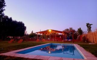 Cactus del Talampaya 2 - 2