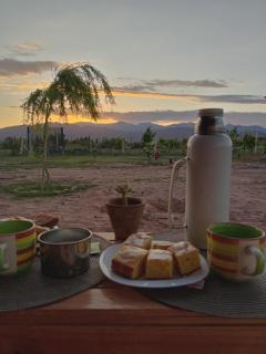 Cactus del Talampaya 2 - 6