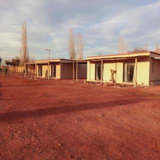 Cactus del Talampaya 2 - 9