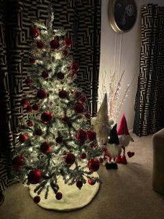 Rachels Luxury Tattershall Hot Tub & Fishing Retreat - 9