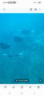 Bora Bora ou Maupiti sur un voilier - 1