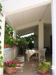 Apartments with parking space Valbandon, Fazana - 7355 - Valbandon - 4