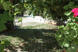 Apartments with parking space Valbandon, Fazana - 7355 - Valbandon - 3