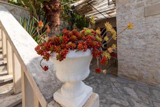 Seaside holiday house Pucisca, Brac - 14003 - 3