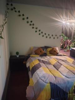 Cabañas el guadual - 8