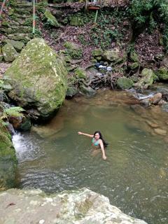 La carpa de Nilo - 1