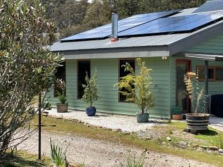 Forest Walks Studio - 0