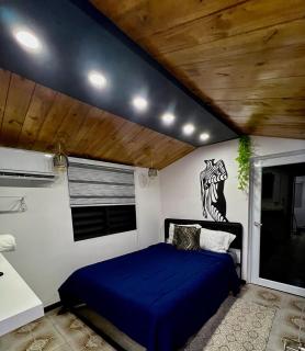 Urban Cabin PR-Near to AirPort- Near to Beach - 3
