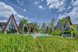 Elmon Ricefield Hotel - 9