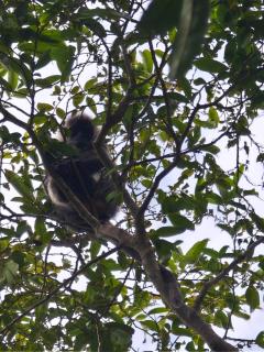 Kbon Homestay Experience - 9