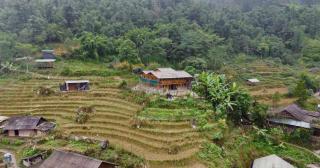 Mango Sapa Homestay & Trekking - 0