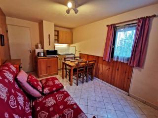 Studio cabine pieds pistes, proche école de ski, Adrets-Prapoutel - FR-1-771-83 - 5