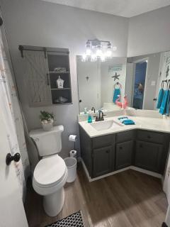 Island Palms - welcome winter texans and Everyone - 2