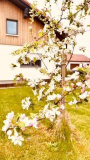 Ferienwohnungen mama ELVA - 9