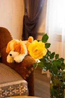 Затишок та відпочинок у 2 кім на Спортивній - 1