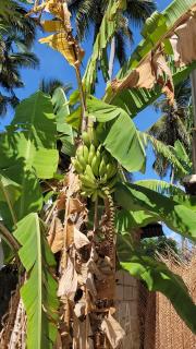 Naraha Beach House - 4