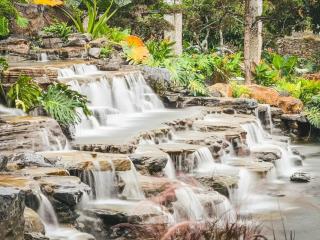 Resort Suối Ngựa - 1