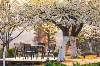 成都释玥森林酒店 - 9