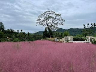 成都释玥森林酒店 - 8
