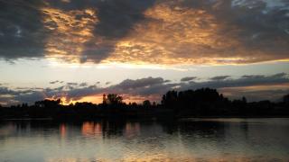 Goona palace houseboats - Srinagar - 6