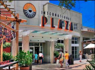 Bird's Serenity Nest - 6