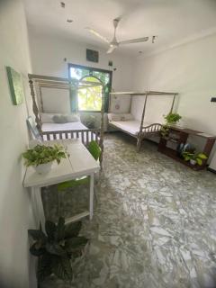 Kalims Houses and Apartments - 9