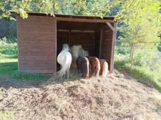 Agro Dolina Jamcito - 4