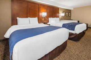 Comfort Suites El Paso Airport - 2