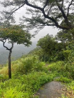 Zagahills - Kattappana - 4