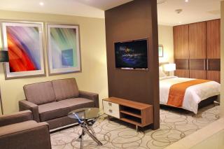 The View Hotel by Covalia - San Luis Potosí - 8