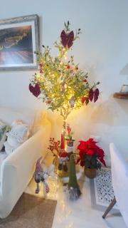 Wehostcostaluz Le Petit Palace Catedral con parking gratuito - 5