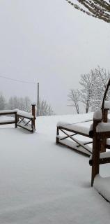 Baita Pinot Alpine Chalet - 1