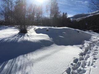 Baita Pinot Alpine Chalet - 2