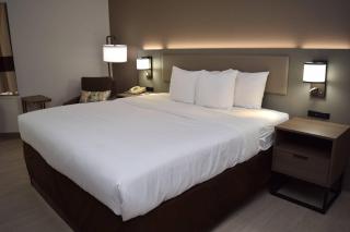 Comfort Inn & Suites Syracuse-Carrier Circle - 3