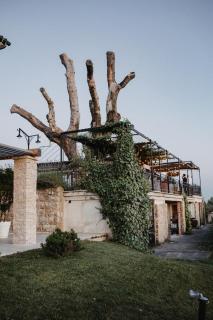 Morgan - Buje (Buie) - 4