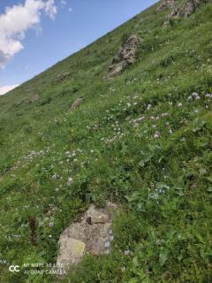 Hankavan HANKA HOME - 7