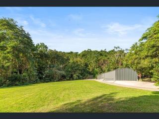 Kookaburra - A Home in the Trees - 3