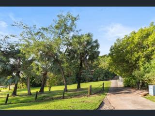 Kookaburra - A Home in the Trees - 1
