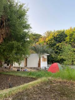 Bafana Bafana Nile View Guest House - 4