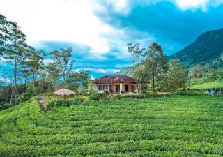 Viriparai Tea Bungalow Munnar by VOYE HOMES - Surrounded by Tea Plantations - 0