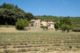 Mas au cœur de la Provence, paradis isolé à l'Etournelle - 8