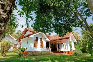 Aurora පාට පාට - 0