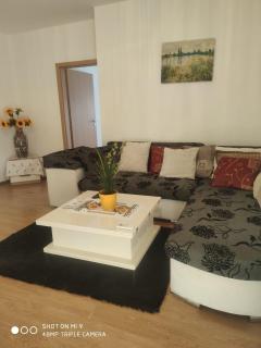 Apartmani FENIX Banja Koviljač̣a - Banja Koviljača - 0